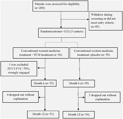 Effects of co-application of tiotropium bromide and traditional Chinese medicine on patients with stable chronic obstructive pulmonary disease: a muilticenter, randomized, controlled trial study